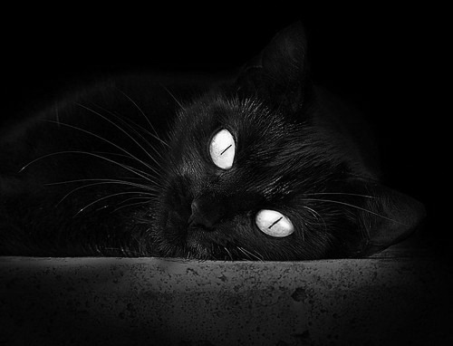 米兰体育APP-中国队锁定男子标枪奥运资格，中国男子标枪奥运冠军