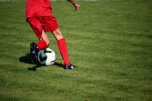 AC米兰-俱乐部青训体系与职业联赛脱节，俱乐部青训有工资吗