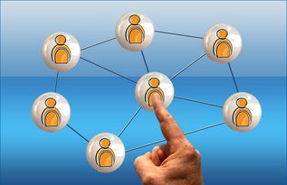 AC米兰-印度队2024年世界杯：从经验到信心的全面提升，印度1950世界杯