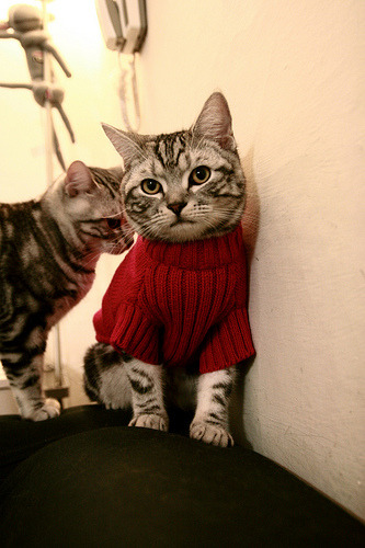 AC米兰-国际乒联推行环保赛事，推动绿色发展，国际乒联赛事改革