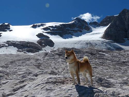 米兰体育APP-李娜回顾法网十年 那一刻改变了中国网球，李娜网球法网夺冠