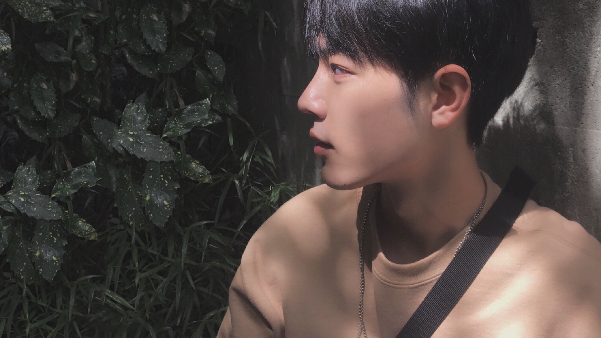 米兰体育APP-罗马尼亚队赛制深入分析：团体赛的战略布局与技术优势，罗马尼亚联赛推迟公告