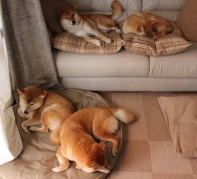 AC米兰-联盟中最不容易被防死的球员排名，联盟防守最好的球员