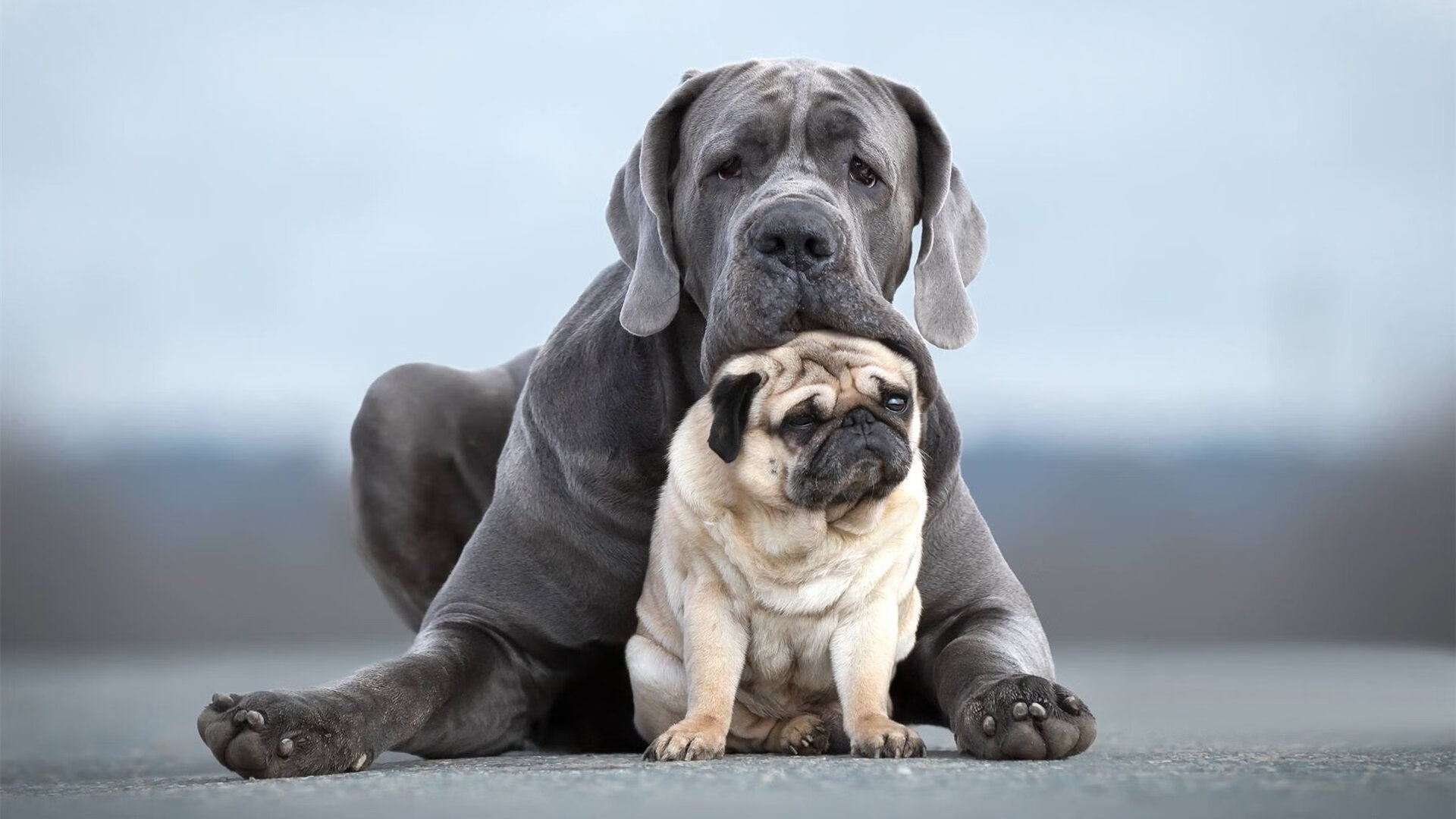 MILANSPORT入口-英雄联盟赛季总结战队表现评分引网友热议，2021年lol战队积分