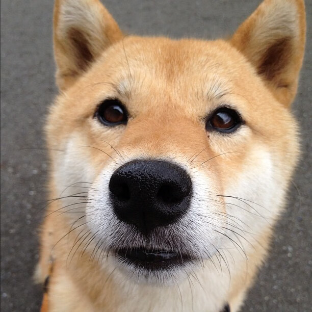 MILANSPORT下载-世界杯不可思议的瞬间：精彩演绎无限！，世界杯片段