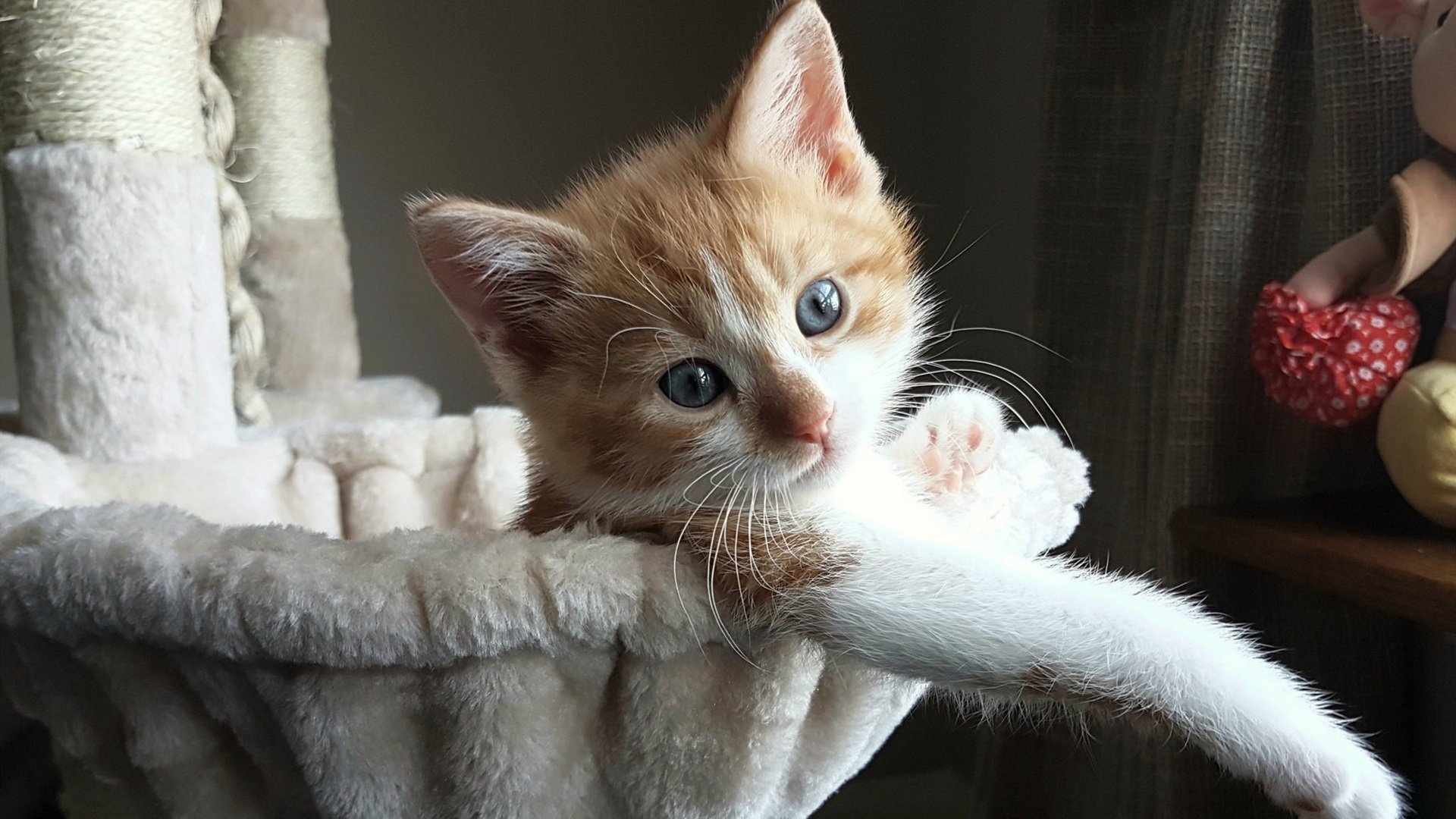 米兰体育-中国足球俱乐部综合实力稳步提升，中国各足球俱乐部