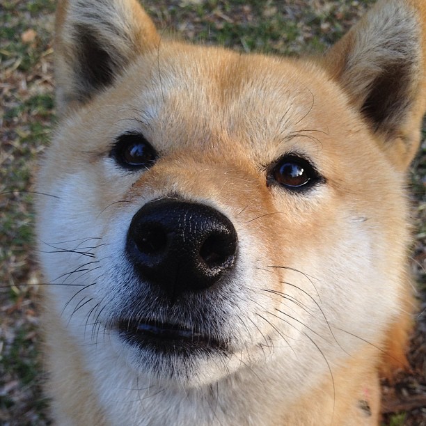 米兰登录入口-国家体育总局发布运动健康干预社区服务指导意见，运动健康政策