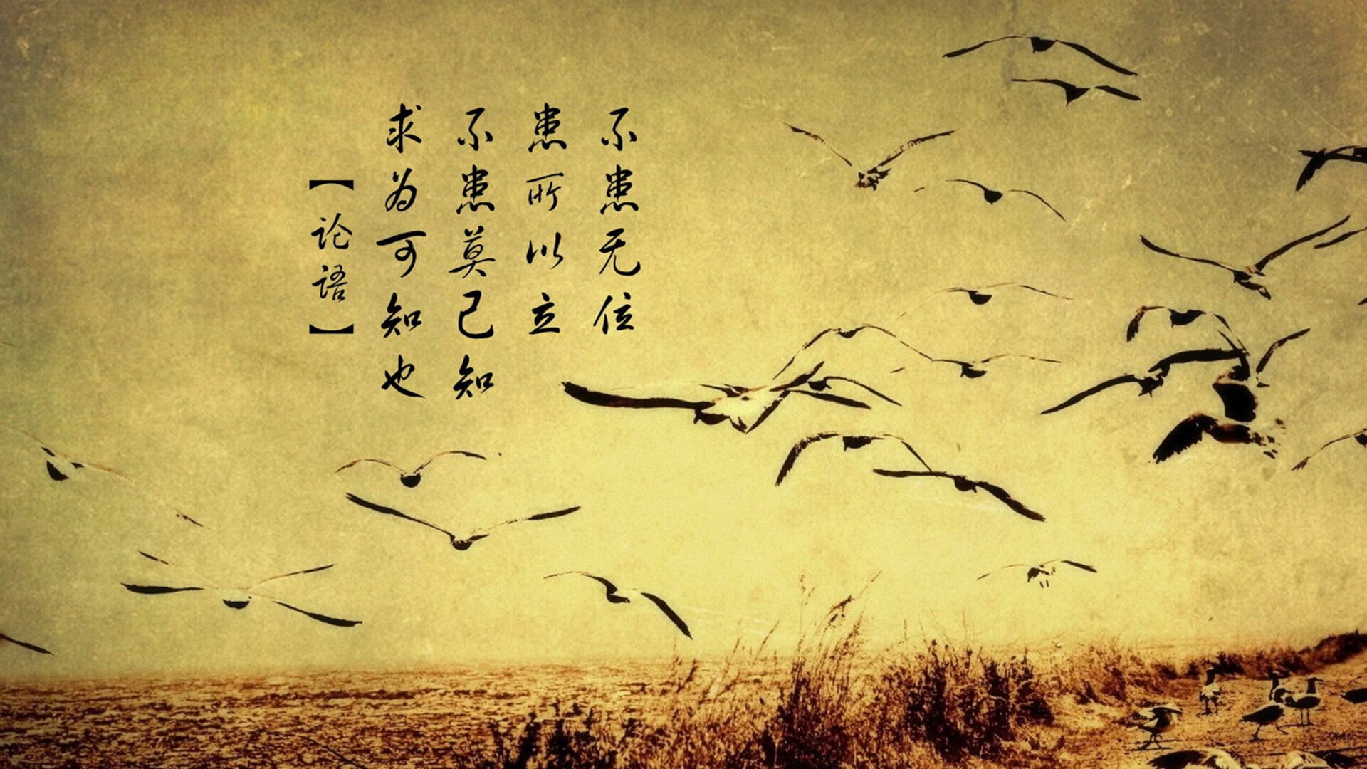 米兰登录入口-奥卡拉汉200米自再夺金 再证天赋与实力，奥卡拉国家森林公园