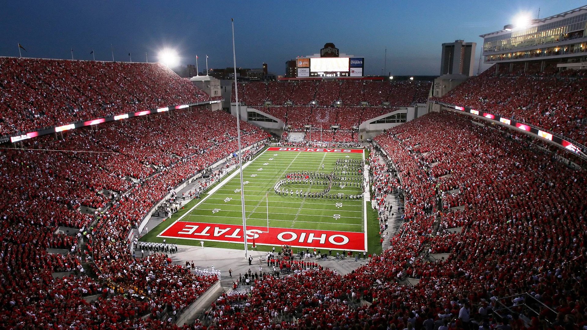 -弗朗索瓦·霍尔茨豪伊泽：攻守兼备，成就南非队最佳全能选手，弗雷德·霍伊尔