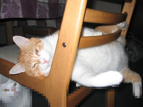 米兰体育APP-校园足球教师配比逐步优化实现专业训练常态化,什么是校园足球教师的基本要求