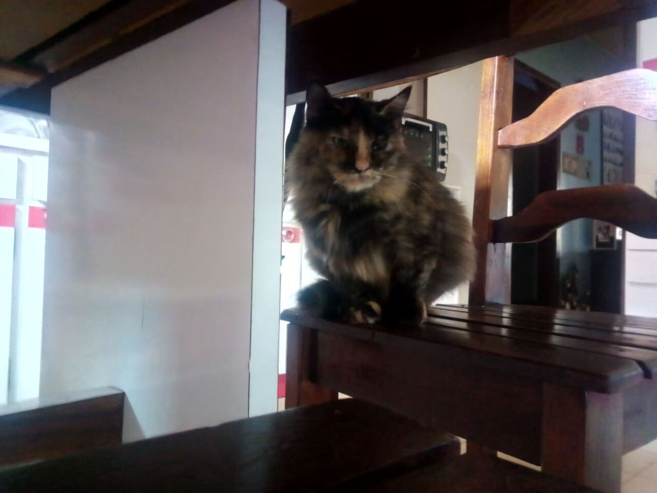 MILANSPORT入口-法甲青训国际交流合作成果，法甲球队关系2018