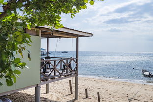 米兰体育-绿色场馆覆盖智能环保系统，推动全球体育绿色低碳行动，绿色场馆建设