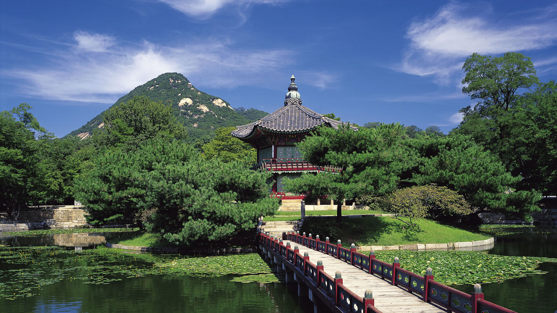 米兰体育-美洲杯精彩战役：明星拼搏助力胜利！，美洲杯精彩吗